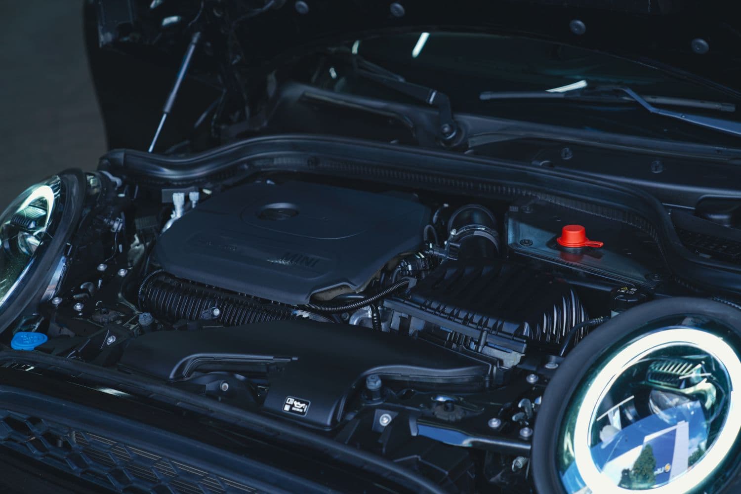 Auto detailing work by Minty Precision