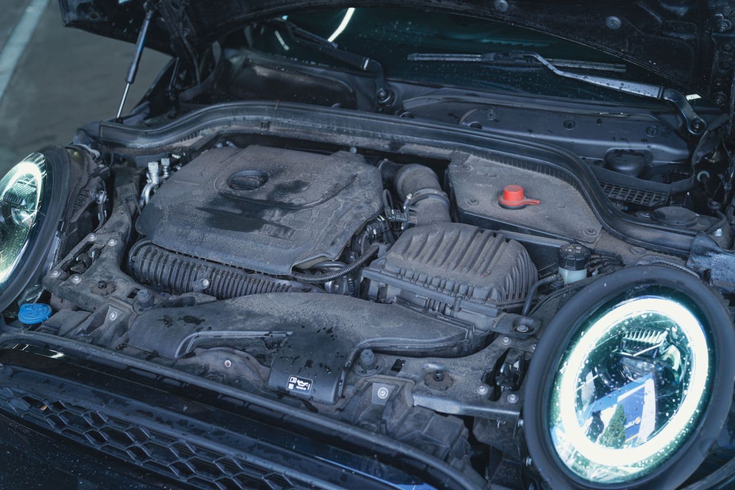 Auto detailing work by Minty Precision